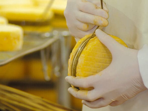 Le Village Fromager - Fromagerie Graindorge