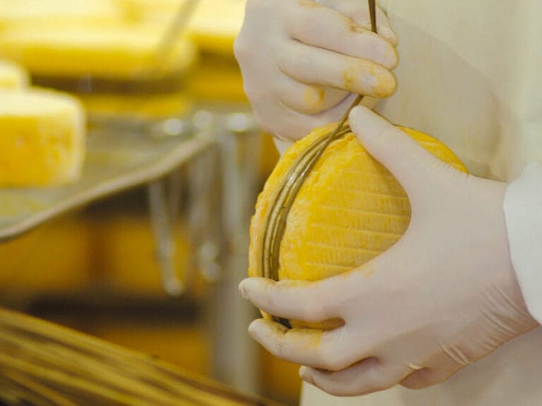 Le Village Fromager – Fromagerie Graindorge