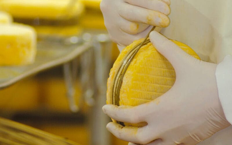 Le Village Fromager - Fromagerie Graindorge