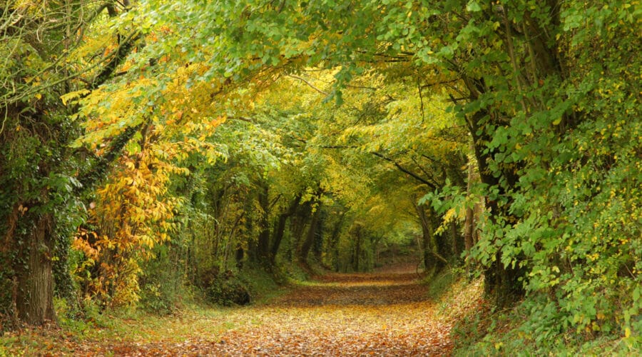 Eglise Notre Dame (XVIIIè)