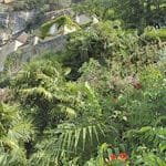 Jardin exotique de La Roque Gageac