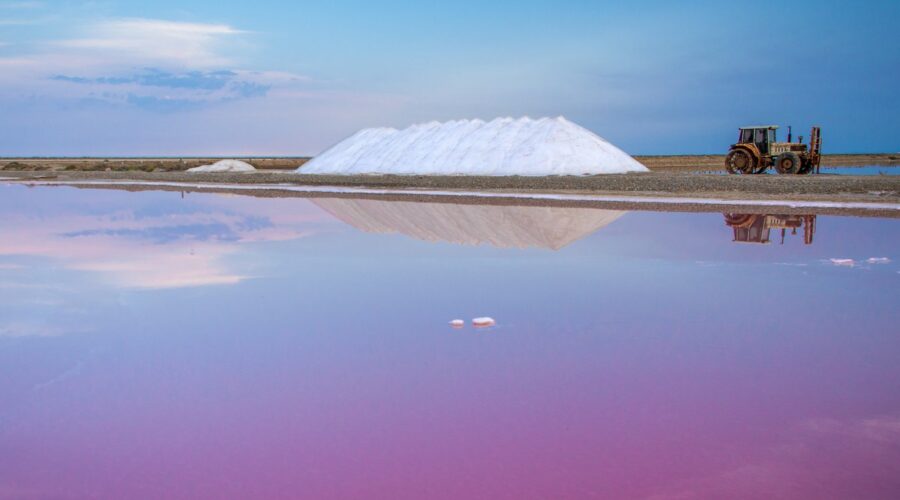 LE SALIN DE L'ÎLE SAINT-MARTIN