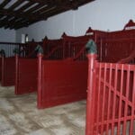 Parc et Jardins du Domaine de Tournelay