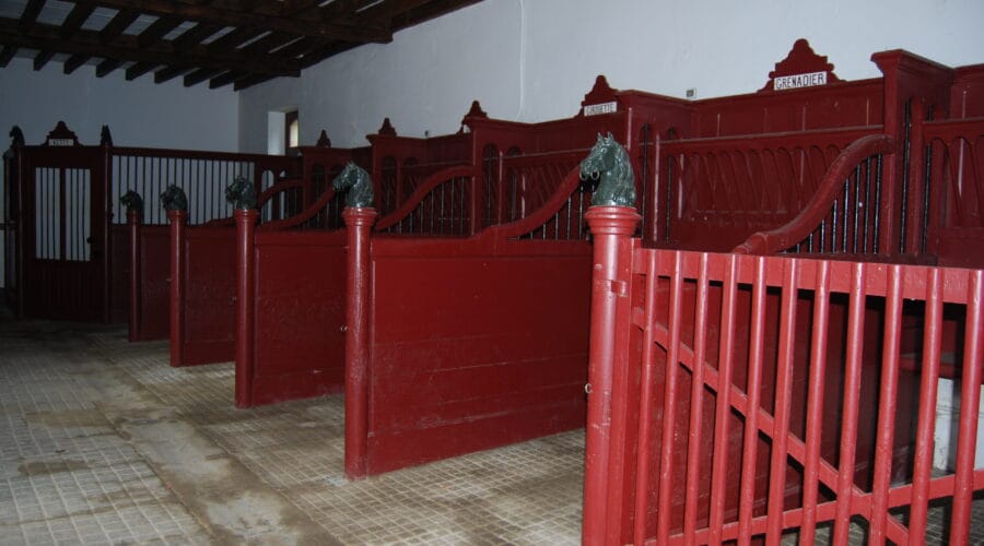 Parc et Jardins du Domaine de Tournelay