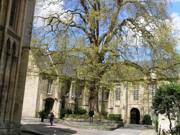 Musée d'Art et d'Histoire Baron Gérard (MAHB)
