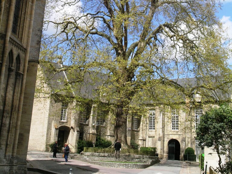 Musée d&rsquo;Art et d&rsquo;Histoire Baron Gérard (MAHB)