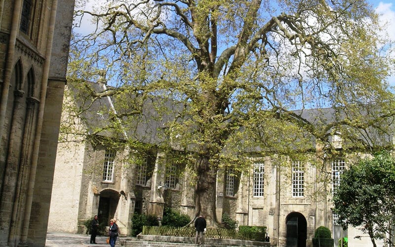 Musée d'Art et d'Histoire Baron Gérard (MAHB)