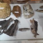 MUSÉE DES FOSSILES ET DES MINÉRAUX