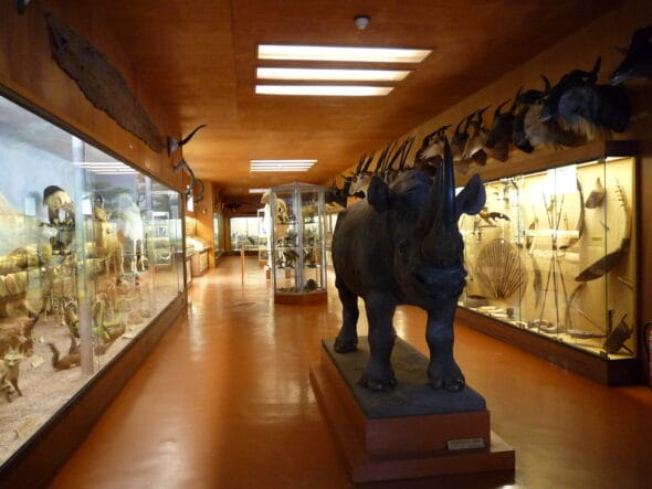 Musée Africain