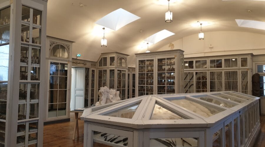 Ancienne école de médecine navale