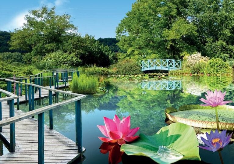 Les Jardins d&rsquo;Eau