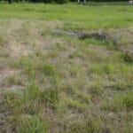 Villa gallo-romaine à Nontronneau