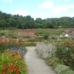 Parc de la Colline aux Oiseaux