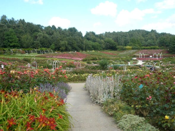 Parc de la Colline aux Oiseaux