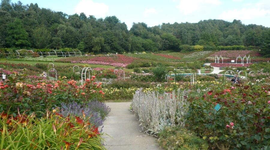 Parc de la Colline aux Oiseaux