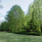 Arboretum de la Brune