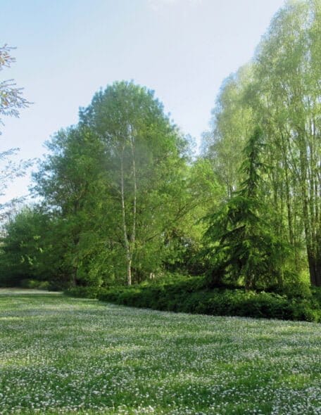 Arboretum de la Brune