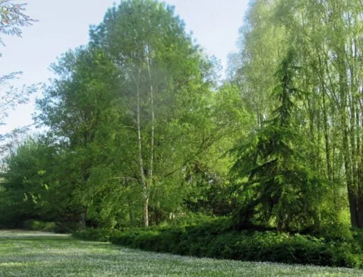 Arboretum de la Brune