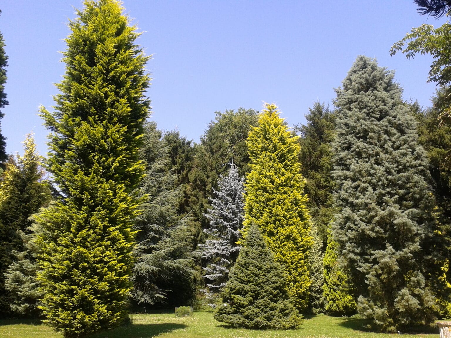 Parc Arboretum du manoir aux loups