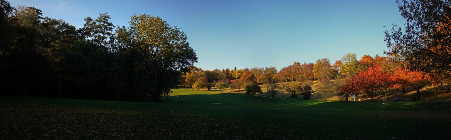 Parc du Morbras
