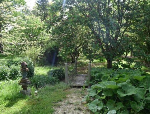La Prairie Enchantée