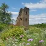 JARDIN D'INSPIRATION MÉDIÉVALE