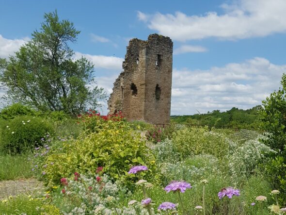 JARDIN D'INSPIRATION MÉDIÉVALE