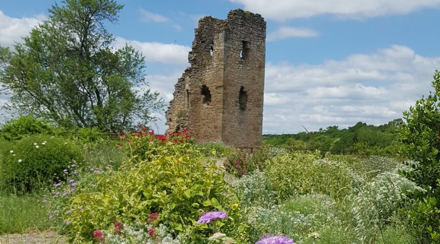 JARDIN D'INSPIRATION MÉDIÉVALE