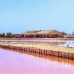 LE SALIN DE LA PALME