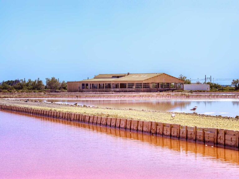 LE SALIN DE LA PALME