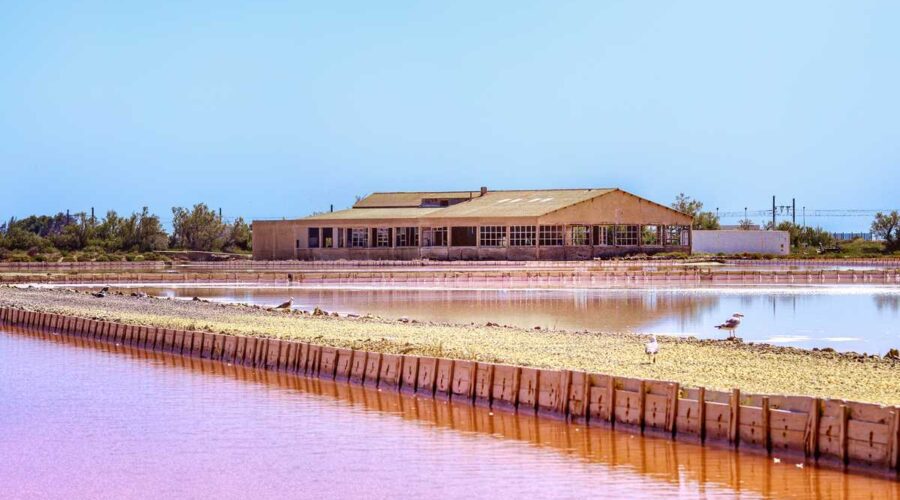 LE SALIN DE LA PALME