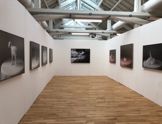 Salle d'exposition Théophile Boinot