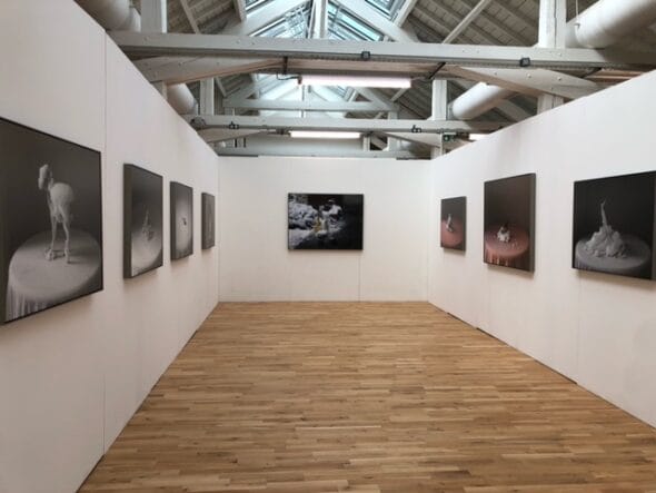 Salle d'exposition Théophile Boinot