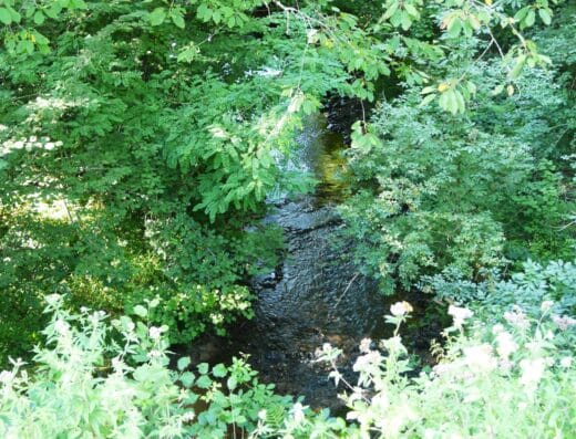 Arborétum des Pouyouleix