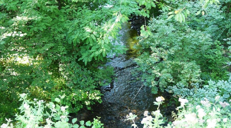 Arborétum des Pouyouleix