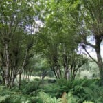 Jardin de Val Maubrune