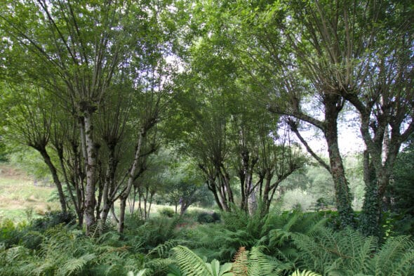 Jardin de Val Maubrune