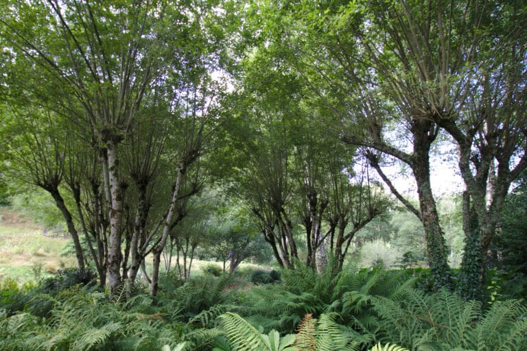 Jardin de Val Maubrune