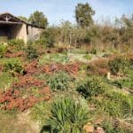 Jardin de la Tournerie