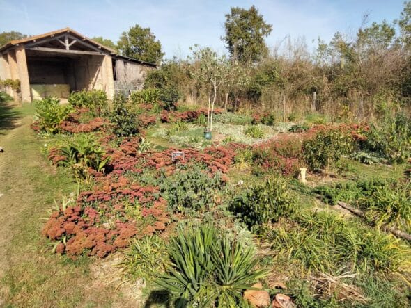 Jardin de la Tournerie