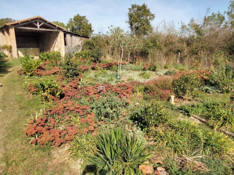 Jardin de la Tournerie