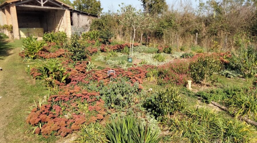 Jardin de la Tournerie