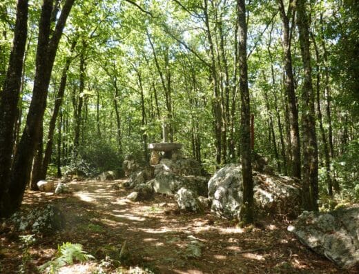 Le Bois des chèvres