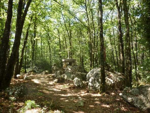 Le Bois des chèvres