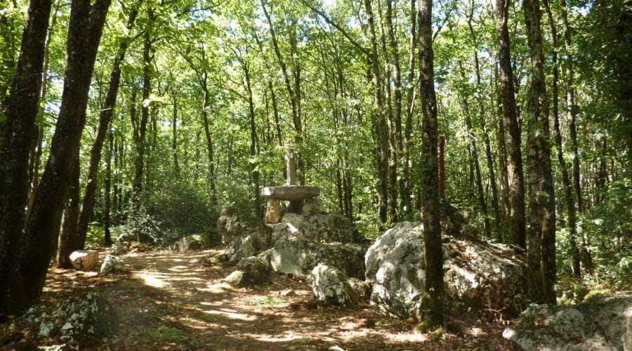 Le Bois des chèvres