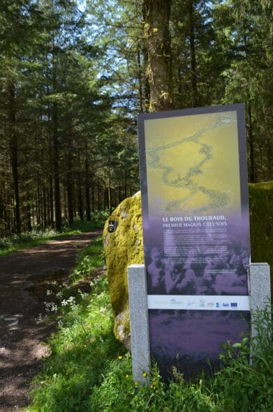 Bois du Thouraud