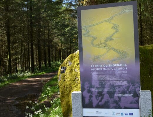 Bois du Thouraud