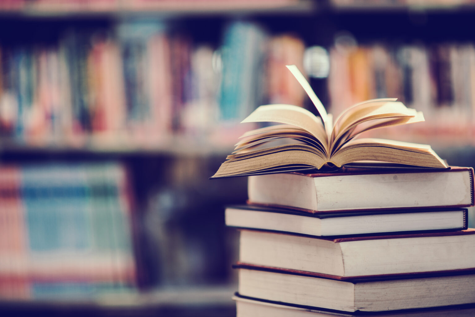 RÉSEAU DES BIBLIOTHÈQUES DU CLERMONTAIS