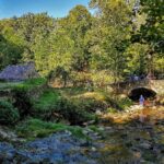 Les Martinets du Lézert à La Bastide l'Evêque