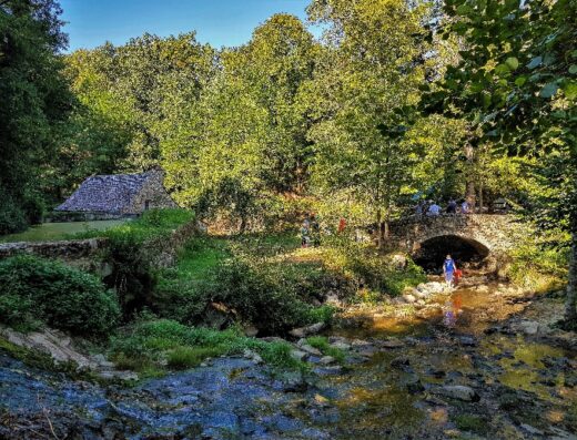 Les Martinets du Lézert à La Bastide l'Evêque